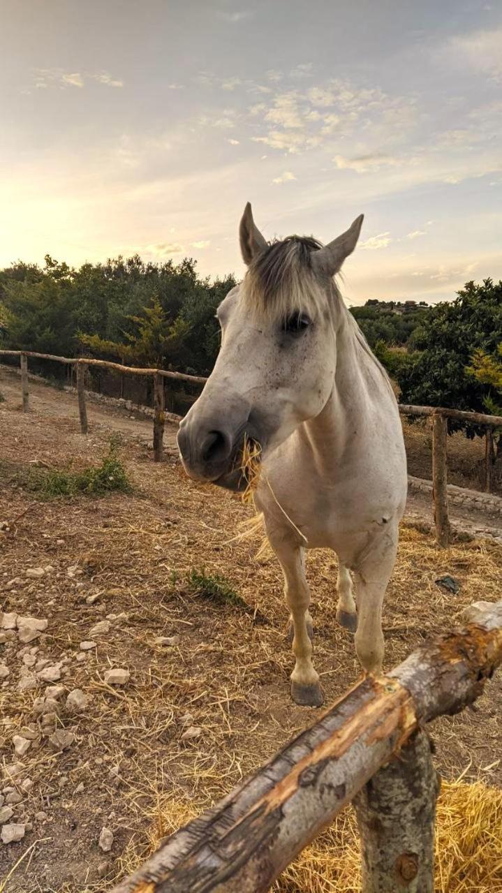 Отель Roba Albanisi Aragona Экстерьер фото